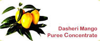 Dasheri Mango Puree Concentrate