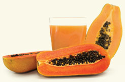 Papaya