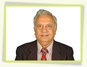 P V Naik