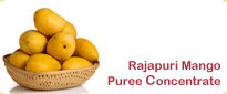 Rajapuri Mango Puree Concentrate