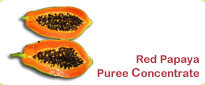 Red Papaya Puree Concentrate