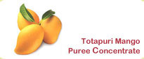 Totapuri Mango Puree Concentrate