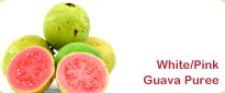 White Pink Guava Puree