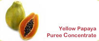 Yellow Papaya Puree Concentrate